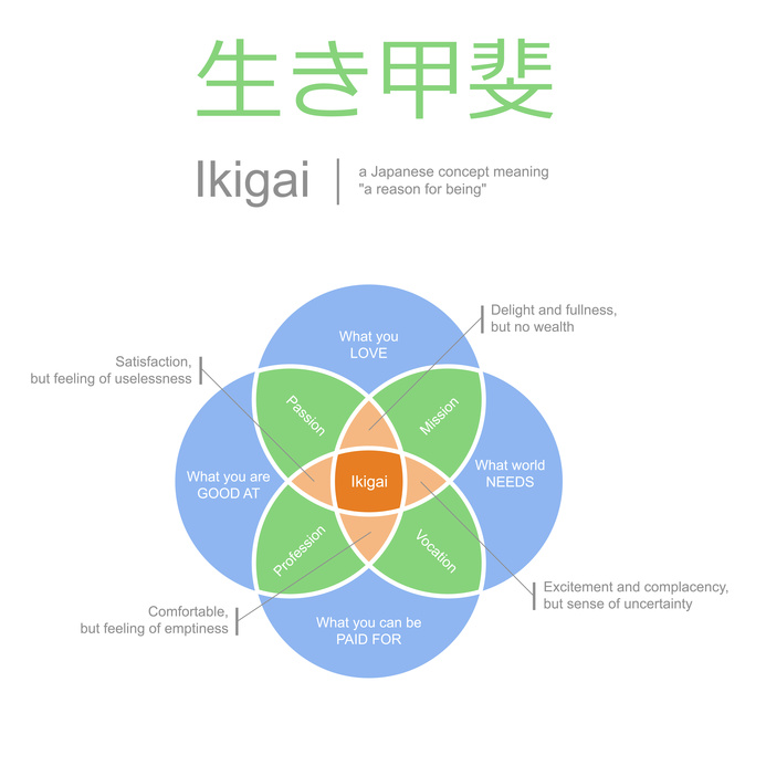 ikigai, self realisation illustration, meaning of life concept, minimalistic style, vector